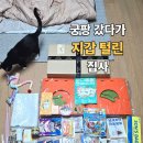 11650-17-29-18 | 부산 궁디팡팡캣페스타 궁팡 박람회 후기 고양이 용품 60만원 쇼핑