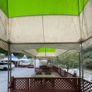 김삿갓 계곡 캠핑장 | 🌿 영월 김삿갓계곡캠핑장 후기 깨끗함 100점, 자연 100점! 여기가 진짜 힐링 캠핑 명소 💚