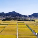 소라면 가사리 이미지