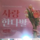 원종인의Flower 이미지