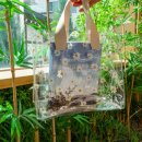 박말순(디벨로펀) 이미지