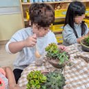 송림 초등학교 병설 유치원 이미지