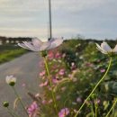 행신준재활의학과의원 이미지