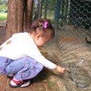 둔내호텔 이미지