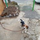 비야대정로 이미지