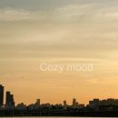 코지 무드(cozy mood)