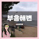 부흥해수욕장 이미지