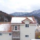 대지팜스 이미지