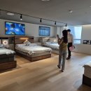보승내츄럴 | 라뚜일상 :8월 (1)🐬 : 청첩장모임, 로얄파크웨딩시식, 부모님 한복/예복 맞추기