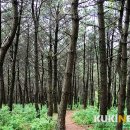 달리오름 이미지