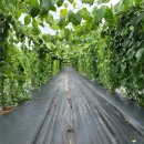 성환 행정사 사무소 이미지