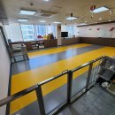 엘리스펫 이미지