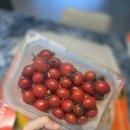 떡볶이예찬 | 부산 당일배송 과일 맛집 텃밭예찬 무료배송 주문하고 신선함에 놀란 후기썰