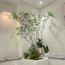 조경치과의원 이미지