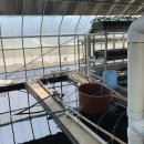 농업회사법인 효향 이미지