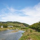 서천리 당산 이미지