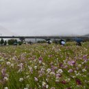 구리한강시민공원 이미지