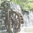 속리산손칼국수 이미지