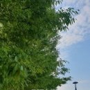 도시에창공인중개사사무소 이미지