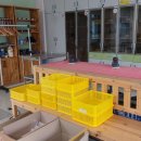 금성초등학교 | 아산 금성초등학교 다회차 목공 수업 진행 후기