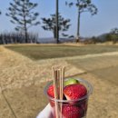 더 럭셔리 | 겨울인데 이게 맞아? 이천 더크로스비cc 럭셔리골프 라운드 후기