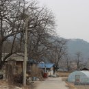 조룡천 네이버블로그