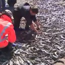 오두목장 이미지