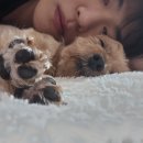 산곡애견사랑 | 하루 하루 소중하게 🍀