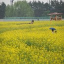 서운체육공원 이미지