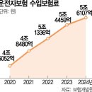 [단독] 1심만해도 5000만원…펑크난 운전자보험 이미지