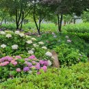 대천천1 이미지