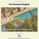 고제높은들지역아동센터 | 페닌슐라 방콕 후기 방콕 럭셔리 숙소 추천솔직리뷰