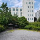 서해해물손칼국수 이미지