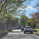 씨후레쉬(주) 이미지