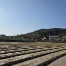 진성 마을회관 이미지