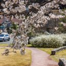 안태숯불갈비 이미지