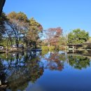 양원리낚시터 이미지