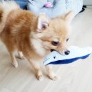 끼리끼리 이미지