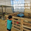 지산농장 | 동물 수확 농장 체험 가능한 용인 포레스트 벨 주말 방문기