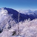 아름다운 나라 이미지