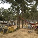 곰섬하우스 이미지