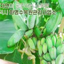 화명수목원관리사업소 이미지
