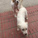어슬렁stay 이미지