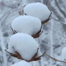 12월24일(일) 크리스마스 이브 눈꽃 트레킹(삼성산 &amp;서울둘레길) 이미지