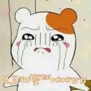 태웅 이미지