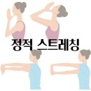 (주)그레이트짐 이미지