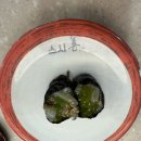 인천 도화 앨리웨이 맛집 스시선에서 7만원쓰고 온 내돈내산 후기 (feat.가성비인 듯 아닌 듯,,,,)