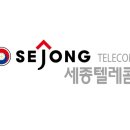 세종이에스지