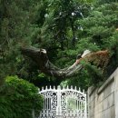 죽변 해심원 온천 이미지
