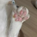 뚱찡